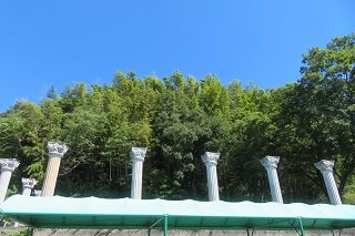 IMG_9204.JPG