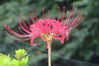 IMG_9218.JPG