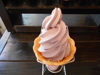 R20160902murasaki.jpg