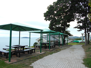 RDSCN2954.jpg