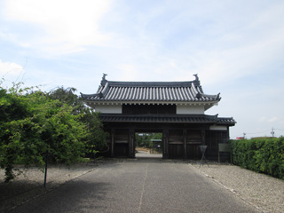RIMG_2858.jpg