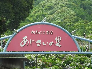 DSCN5721.JPG