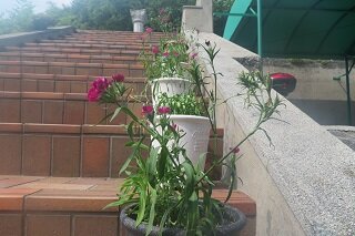 IMG_8153.JPG