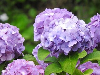 DSCN5770.JPG