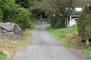IMG_8437.JPG