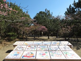 こちらももうすぐ見ごろ 白子町のしらこ桜 22年篇 カイザーベルク 御宿 月の沙漠 ツーリングをサポートするレッドバロン