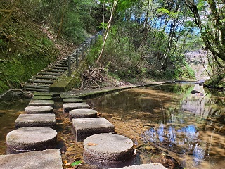 20200826_115950.jpg