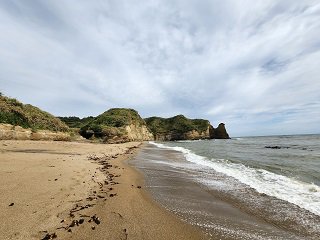 20231011_104355.jpg