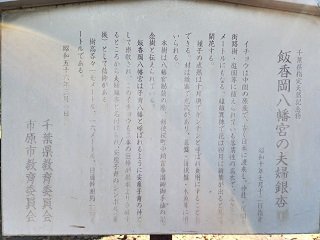 20231109_105853.jpg