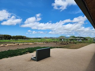 20240425_113441.jpg
