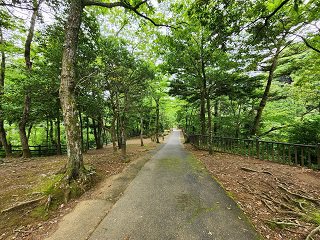 20240523_100020.jpg
