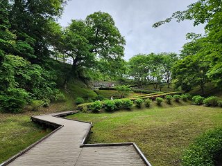 20240523_103029.jpg