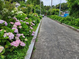 20240613_100754.jpg