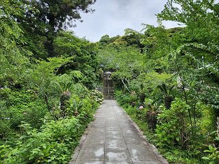 20240613_101104.jpg