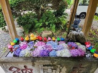 20240613_101152.jpg