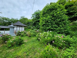 20240613_101700.jpg