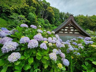 20240613_101727.jpg