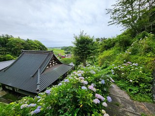 20240613_101802.jpg