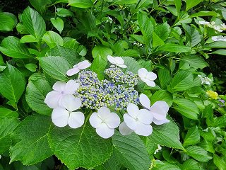 20240613_102125.jpg