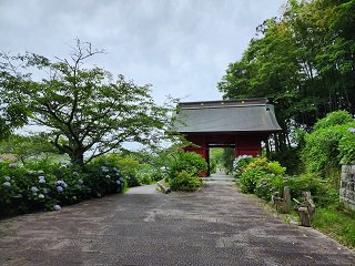 20240613_102443.jpg
