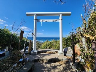 20250130_110157.jpg