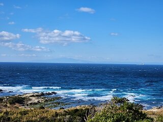 20250130_110224.jpg