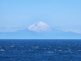 20250130_110540.jpg
