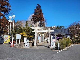 20250206_095200.jpg