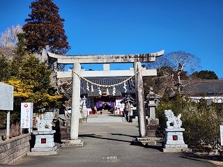 20250206_095215.jpg