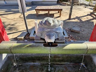 20250206_095314.jpg
