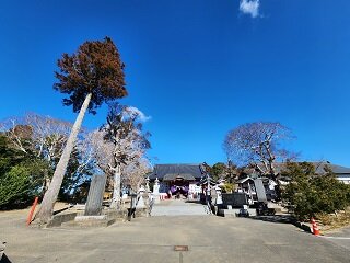 20250206_095957.jpg