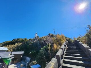 20250219_110808.jpg