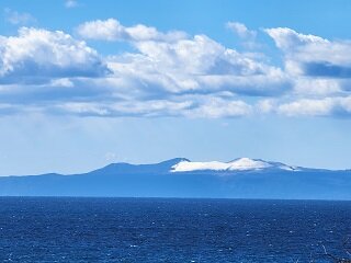 20250219_111131.jpg
