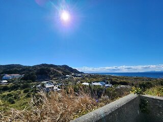 20250219_111156.jpg