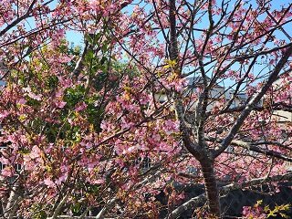 20250227_093646.jpg
