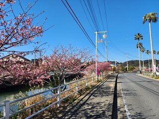 20250227_093656.jpg