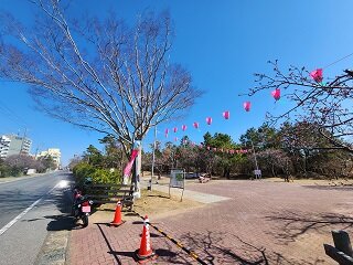 20250227_101903.jpg