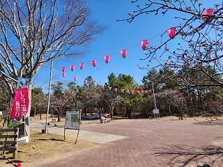 20250227_101913.jpg