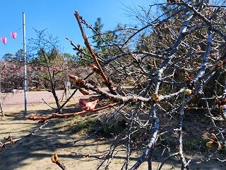 20250227_101951.jpg
