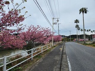 20250306_114334.jpg