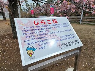 20250313_105032.jpg