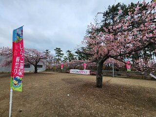 20250313_105044.jpg