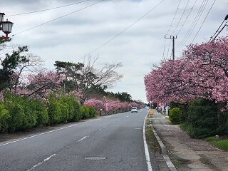 20250313_105420.jpg
