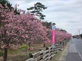 20250313_105525.jpg