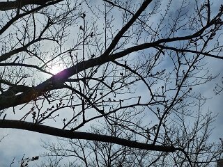 20250325_134517.jpg