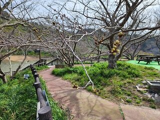 20250325_134710.jpg