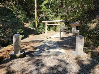 20250409_092441.jpg
