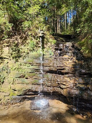 20250409_092538.jpg