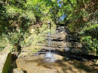 20250409_092547.jpg