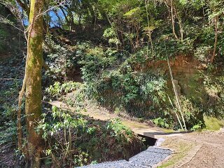 20250409_093318.jpg
